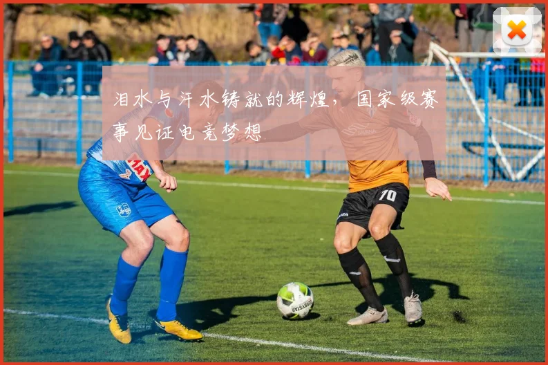 泪水与汗水铸就的辉煌,国家级赛事见证电竞梦想