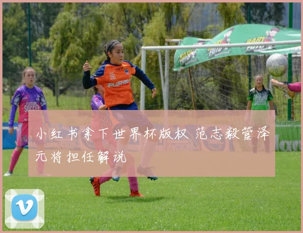 小红书拿下世界杯版权 范志毅管泽元将担任解说