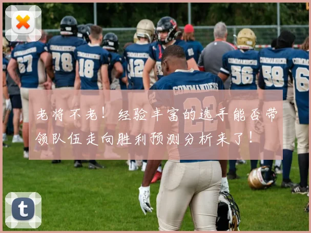老将不老!经验丰富的选手能否带领队伍走向胜利预测分析来了!