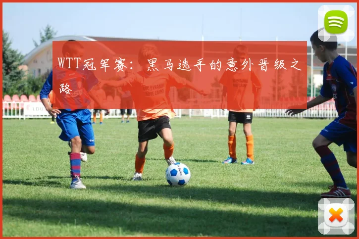 WTT冠军赛:黑马选手的意外晋级之路