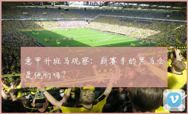 意甲升班马观察:新赛季的黑马会是他们吗?