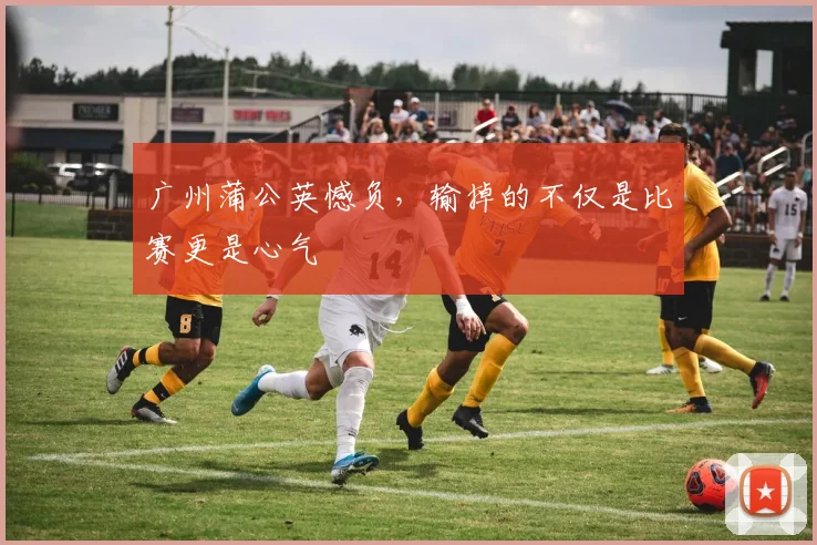广州蒲公英憾负,输掉的不仅是比赛更是心气
