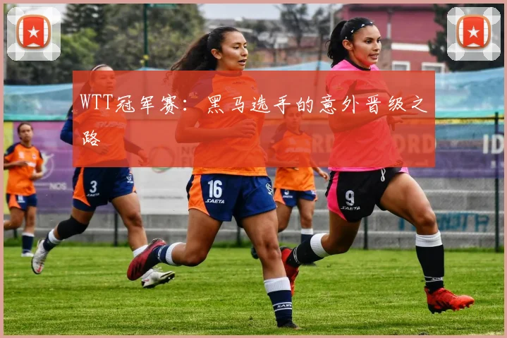 WTT冠军赛：黑马选手的意外晋级之路