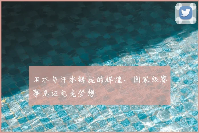 泪水与汗水铸就的辉煌，国家级赛事见证电竞梦想