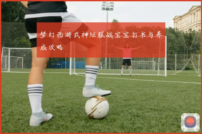 梦幻西游武神坛服战宝宝打书与养成攻略