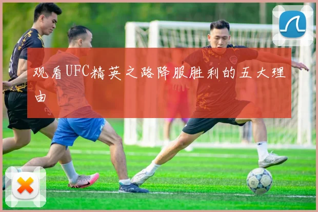观看UFC精英之路降服胜利的五大理由