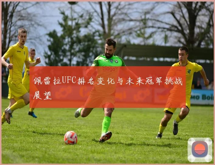 佩雷拉UFC排名变化与未来冠军挑战展望
