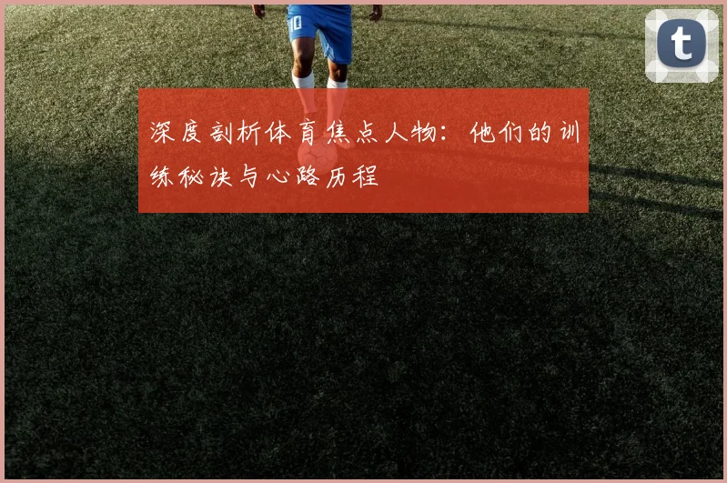 深度剖析体育焦点人物:他们的训练秘诀与心路历程