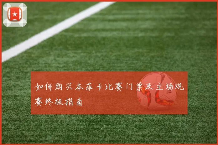如何购买本菲卡比赛门票及主场观赛终极指南