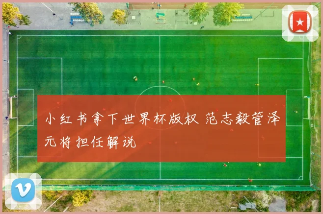 小红书拿下世界杯版权 范志毅管泽元将担任解说