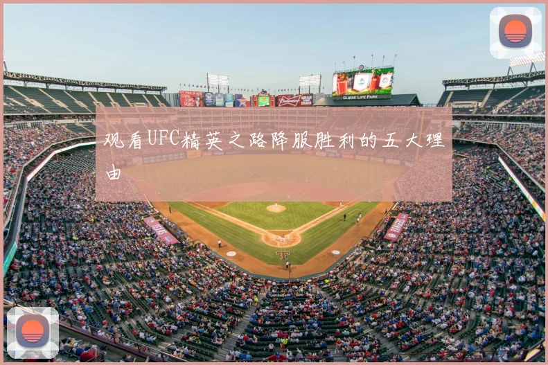观看UFC精英之路降服胜利的五大理由