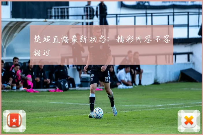 楚超直播最新动态：精彩内容不容错过